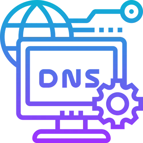 DNS ANUAL