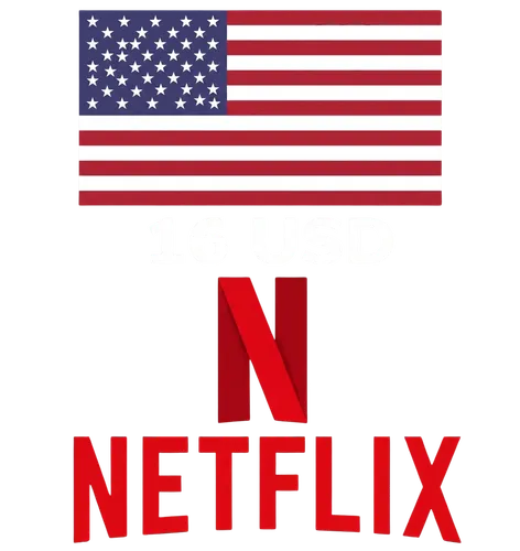 PINES NETFLIX 20 USD – USA